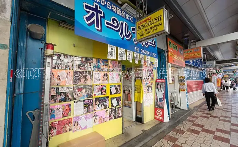 《狐狸漫奇妙2026：梦幻与魔法的碰撞》